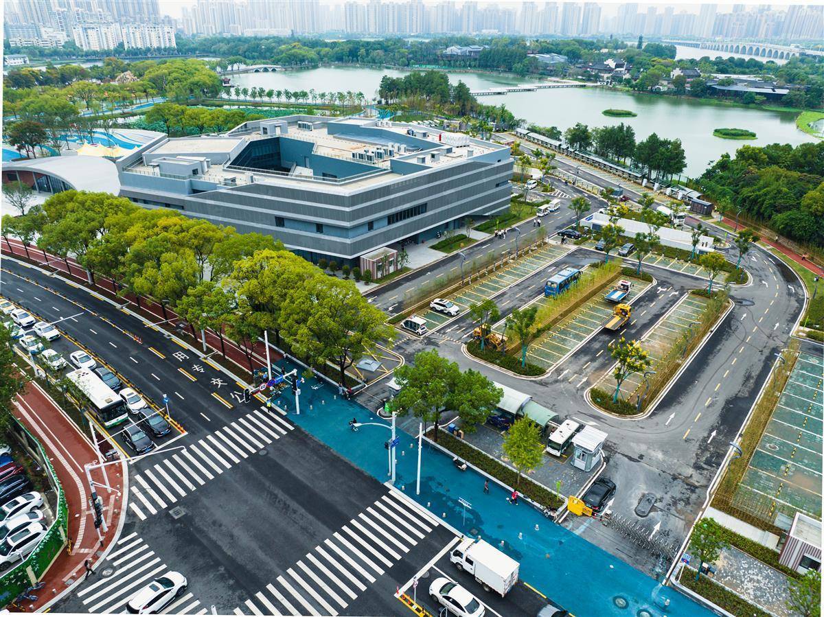动物跑跑跑